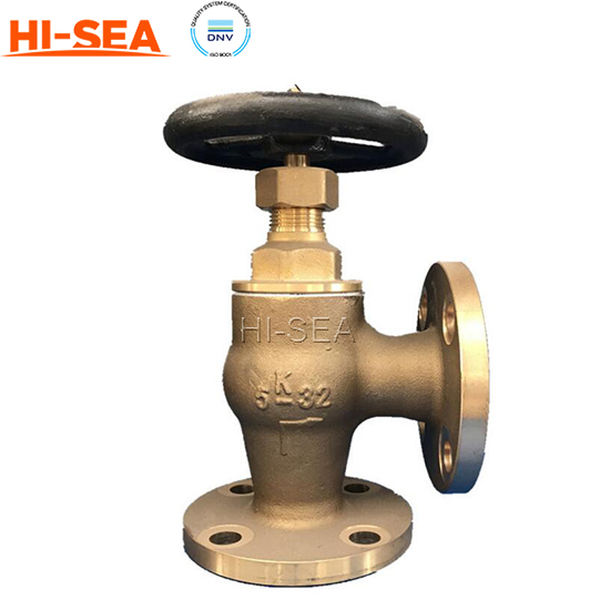 Angle Globe Valve